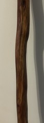 54” Natural Vine Twisted Dogwood Walking Stick Cane Wood Staff Trekking 4” Grip