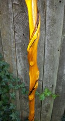 43″ Hand Carved Spiral Mulberry Walking Stick Cane w/ Brass Skull Top Handle #28
