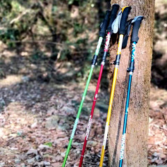 5 Section Outdoor Fold Trekking Pole Camping Portable Walking Hiking Stick for N
