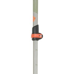 Hiking Trekking Poles – Black