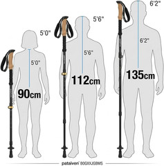 Trekking Poles for Seniors, 2 Pack Flip-Lock Adjustable Walking Sticks, 240G