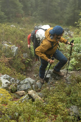 Trekking Poles – Carbon Fiber Walking or Hiking Sticks with Quick Adjustable Loc