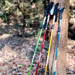 5 Section Outdoor Fold Trekking Pole Camping Portable Walking Hiking Stick for N