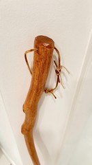 Brazos Handcrafted Free-Form Hawthorn Wood Walking Stick – 43.5″ Hiking Cane