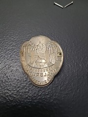 HELLBRUNN PALACE AUSTRIA HIKING WALKING STICK MEDALLION BADGE UNUSED RARE