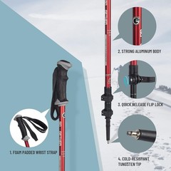 Aluminum Trekking Poles – Quick Adjustable Locks, Comfort Handle, Padded Stra…