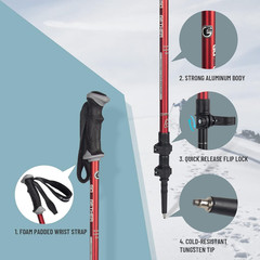 Aluminum Trekking Poles – Quick Adjustable Locks, Comfort Handle, Padded Strap,