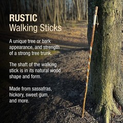 Twisted Sassafras Walking Stick Handcrafted Wooden Hiking Staff USA Made 48 Inch