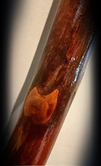 64” Eastern Hophornbeam Hiking Stick Handmade & Finished 🇺🇸