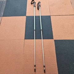 LL Bean Winter Walker Walking Hiking Sticks Set Telescopic Pole 100-130cm Bk1a
