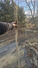 Maine-Made Hickory Walking Stick – Rustic Hand-Carved Staff