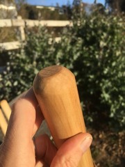 Bald Eagle, Natural Earth Tones Poplar Wood Walking Stick Hiking Staff