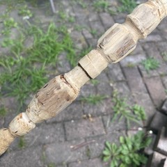 Hand-Carved Wooden Walking Stick Cane w/ Animal Head Handle, Brown, Unisex