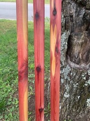 Rugged Terrain Cedar Wood Walking Stick Wooden Hiking Staffs Hand Carved