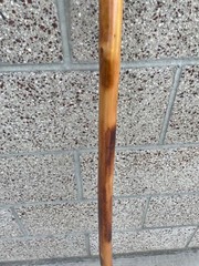Wood Hiking Stick SE Root Wood 55″ Hiking Stick NWT WS631-52RH