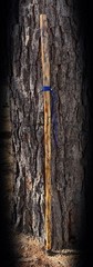 64” Sweetgum FRACTAL LICHTENBERG Walking HIKING Stick Handmade & Finished 🇺🇸