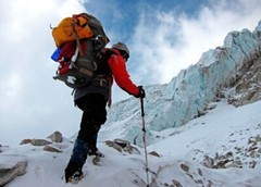 Trekking Poles Walking Sticks Travel Hiking Adjustable Collapsible Outdoor Poles