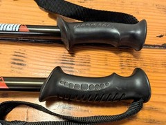 Denali Air shock Trekking Poles