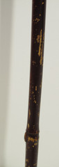 VTG Dark Brown Wood Walking Stick 36 in Long with Black Ribbed Plastic Handle