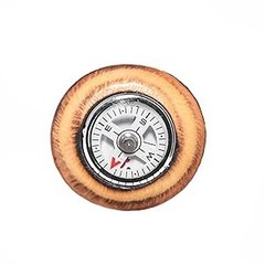 3 Pieces Detachable Fir Wood Walking Stick Wolf Carving with a Compass(Nature
