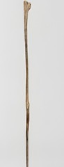 VTG Weathered Driftwood Skinny Tall Walking Stick 68″ Strong Staff OOAK Raw MN