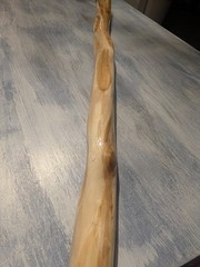 60″ – Hand Carved Diamond Willow – Finished with apoxy – Hiking / Walking Stick