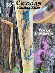 38” CICADA Walking CANE With Fractal Burns Handmade & Finished🇺🇸