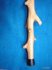 handcrafted WALKING/HIKING STICK spiky apple w/leather Deer Antler Burr Handle
