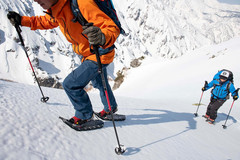 Dynalock Ascent Foldable Carbon Backcountry Trekking Poles