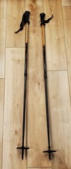POWDERIDGE Hiking Poles Adjustable 6000 Series Aluminum 105 cm 44” Tall