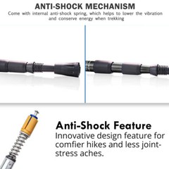 2x Trekking Poles Nordic Walking Hiking Sticks Anti-shock Adjustable Alpenstock