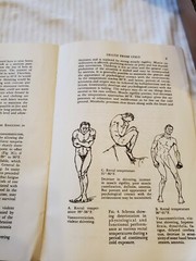 APPALACHIAN MOUNTAIN CLUB ARTICLE – APPALACHIA ISSUE JUNE,1960 “DEATH FROM COLD”