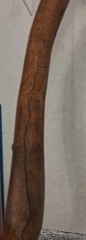 Natural Twisted Wood Hiking Stick – Handmade-Painted Design Initialed Look Read