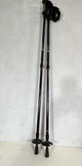 Pair Of Alpine Design Trekking Walking Hiking Poles Black Backpacking Adjustable
