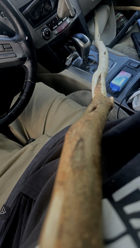 Maine-Made Hickory Walking Stick – Rustic Hand-Carved Staff