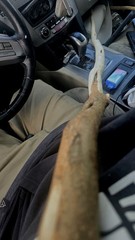 Maine-Made Hickory Walking Stick – Rustic Hand-Carved Staff