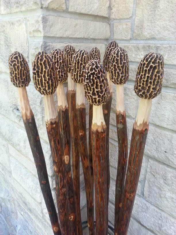Morel Mushroom Hickory Hand Carved Hiking Stick All One of a Kind