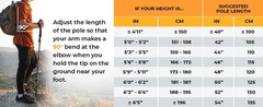 Lightweight Trekking Poles – Compact Walking Sticks with Quick Locks, Ergonomic