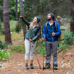 5-Section Portable Outdoor Fold Trekking Pole Walking Hiking Stick Telescopic Cl