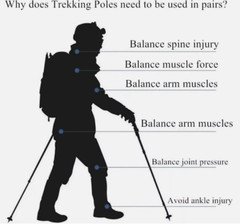 Alpenstock Anti-shock Trekking Poles Adjustable Walking Hiking Nordic Sticks