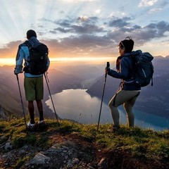 Camping, Trekking Poles, 2 Pack