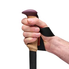 Black Diamond Trail Cork Trekking Poles Fig, One Size
