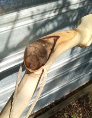 Handmade Rustic Crooked Walking Stick Feathered Staff