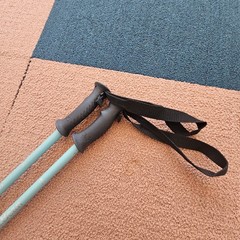 LL Bean Winter Walker Walking Hiking Sticks Set Telescopic Pole 100-130cm Bk1a