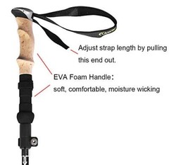 Walking Stick – Collapsible Trekking Pole for Men and Women7075 Aluminum Hiki…