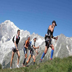 2X Trekking Poles Nordic Walking Sticks Adjustable Anti-shock Hiking Alpenstock
