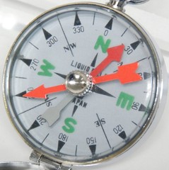 Directional compass oil type C 75590