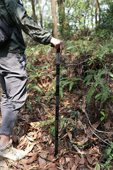 Premium Walking Hiking Stick CNC Machined Outdoor Trekking Poles Color Black