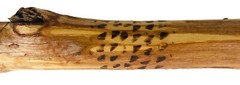 WALKING STICK 56″ HAND CARVED CANE Nature Animals Stars Moon Sun Astrology Peter