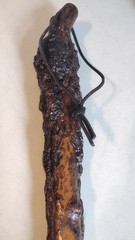 Primitive Natural Form Rustic Burl Wooden Trekking Walking Stick Cane 43.5 inch